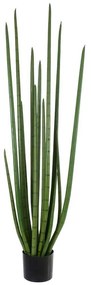 Τεχνητό Φυτό Σε Γλάστρα Sansevieria Cylindrica 20211 160cm Light Green Globostar Πολυαιθυλένιο