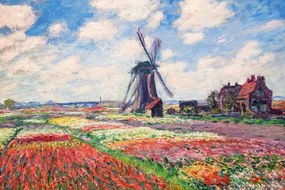 Αναπαραγωγή Tulip Fields with the Rijnsburg Windmill, 1886, Claude Monet