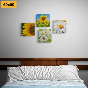 Σετ εικόνων με όμορφα λουλούδια στο λιβάδι - 4x 40x40