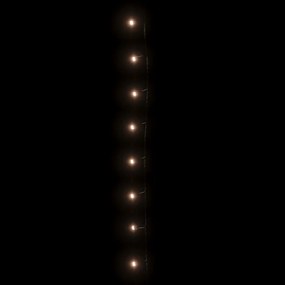 vidaXL Λαμπάκια LED Εσωτερικού/Εξωτερικού Χώρου 2000 Θερμό Λευκό 200 μ