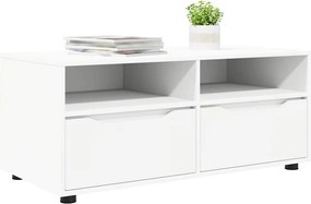 vidaXL Ντουλάπι TV 100 x 48 x 43 εκ. Λευκό Επεξεργασμένο Ξύλο