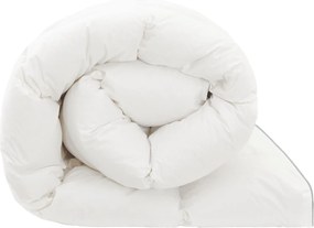 vidaXL Πάπλωμα FULDA 220 x 260 cm Χειμώνας 300 GSM 90% Χήνας Λευκό