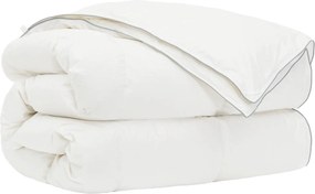 vidaXL Σετ πάπλωμα 90% χήνας FULDA 2 τμχ. 152 x 203 cm Όλες οι εποχές