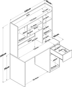 Γραφείο με Βιβλιοθήκη Λευκό ECRII 120x50x166