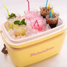 Ψυκτική τσάντα Polarbox Pop, 20 λίτρα, πολυστυρόλ AIRPOP, 5-15 °C έως 24 ώρες, Πράσινο/Μωβ