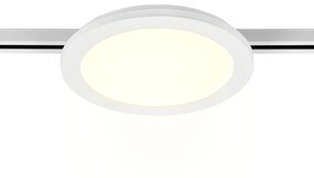 Φωτιστικό Οροφής Ράγας DUOline Trio Lighting Camillus 76921531 Λευκό Ματ