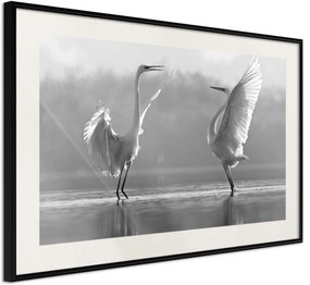 Αφίσα - Black and White Herons - 45x30 - Μαύρο - Με πασπαρτού