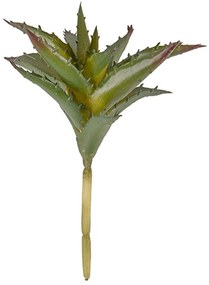 Διακοσμητικό Φυτό Aloe PT3648 15,2x17,1x15,2cm Green Present Time Plastic
