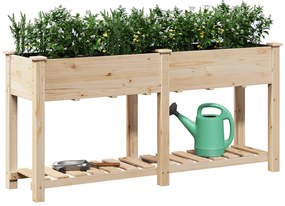 vidaXL Γλάστρα Κήπου με Ράφι 161x43x76 εκ Μασίφ Ξύλο Πεύκου