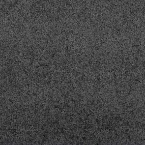 vidaXL Χαλάκι Εξώπορτας Ανθρακί και Μαύρο 120 x 400 cm 100% Πολυαμίδιο