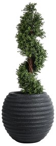 GloboStar® Artificial Garden ILAEIRA 20713 Επιδαπέδιο Πολυεστερικό Τσιμεντένιο Κασπώ Γλάστρα - Flower Pot Μαύρο Φ58 x Υ53cm