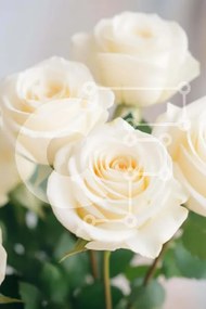 Σετ των 2 Intra Συλλεκτικό Ξύλινο Παζλ Plywood 4mm - Έξι λευκά τριαντάφυλλα σε βάζο με πράσινα φύλλα Σε Ξύλινο Κουτί - Διαστάσεις: 10x10 cm – 25 κομμάτια