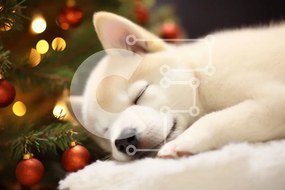 Intra Συλλεκτικό Ξύλινο Παζλ Plywood  4mm - Sleeping Puppy δίπλα στο χριστουγεννιάτικο δέντρο Σε Ξύλινο Κουτί - Διαστάσεις: 10x10 cm – 25 κομμάτια