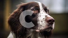 Σετ των 2 Intra Συλλεκτικό Ξύλινο Παζλ Plywood  4mm - Καφέ και λευκό σκυλί με δισκέτα αυτιά Σε Ξύλινο Κουτί - Διαστάσεις: 10x10 cm – 25 κομμάτια