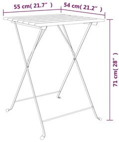 Τραπέζι Bistro Πτυσσόμ. 55x54x71 εκ. Μασίφ Ξύλο Teak &amp; Ατσάλι 319978