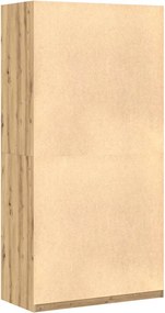 vidaXL Ντουλάπα Τεχνίτης Δρυς 100x50x200 εκ Επεξεργασμένο Ξύλο