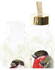 Μπουκάλι DKD Home Decor Fugl Κρυστάλλινο PVC (550 ml) (x2)