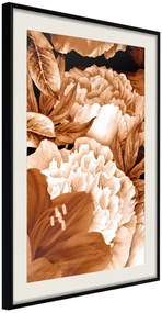 Αφίσα - Peonies in Sepia - 20x30 - Μαύρο - Με πασπαρτού