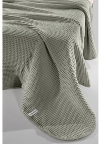 Κουβέρτα Πικέ King Size Eternity Olive 260x240 - Guy Laroche
