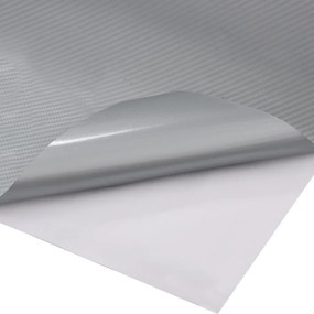 vidaXL Μεμβράνες Αυτοκινήτου 4D 2 τεμ. Ασημί 100 x 150 εκ.