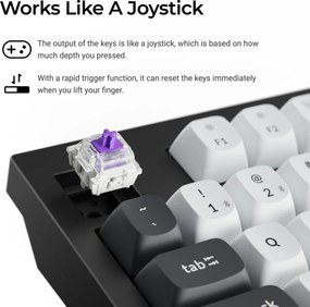 KEYBOARD WRL Q5 HE RGB/SHELL WHITE Q5H-P1 KEYCHRON