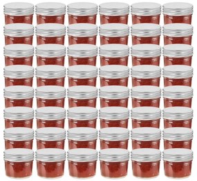 vidaXL Βάζα Μαρμελάδας 48 τεμ. 110 ml Γυάλινα με Ασημένια Καπάκια