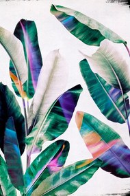 Εικονογράφηση Tropical #1, Leemo