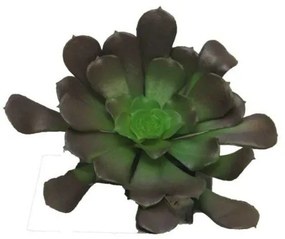 Supergreens Τεχνητό Χωνευτό Παχύφυτο Καφέ 10 εκ