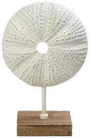 Επιτραπέζιο Διακοσμητικό Αχινός ICY305 25,5x10x38,5cm White Espiel Metal,Wood