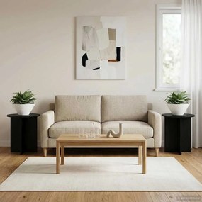 vidaXL Βάση φυτών 2 τεμ. Μαύρο 40 x 40 x 40 cm Επεξεργασμένο Ξύλο