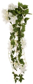 Φυτό Μπουκαμβίλια Κρεμαστό Λευκό iliadis 85εκ. 85483