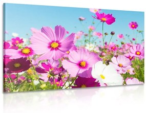 Εικόνα λιβάδι με ανοιξιάτικα λουλούδια - 90x60