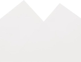 vidaXL Μουσαμάς Λευκός 5 x 5 μ. 650 γρ./μ²