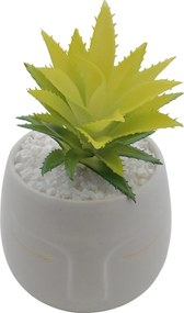 Τεχνητό Φυτό σε Μοντέρνο Κεραμικό Γλαστράκι 12x11x19cm