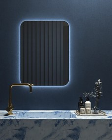 Καθρέπτης τοίχου Curved Project Mirrors Διάσταση: 50x90, Τοποθέτηση: Οριζόντια
