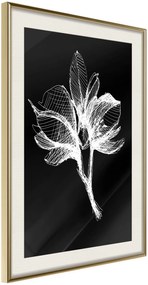 Αφίσα - White Plant - 20x30 - Χρυσό - Με πασπαρτού