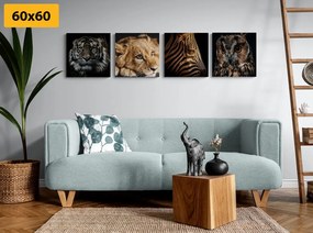 Σετ εικόνων με άγρια ​​ζώα - 4x 60x60