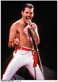 Αφίσα Queen (Freddie Mercury) - Los Angeles 1982, (59.4 x 84 cm)