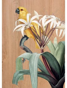 Yellow Parrots πίνακας διακόσμησης ξύλου 67 x 47 x 0,60 εκ (21657) - 21657