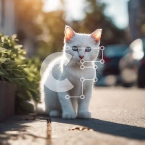 Intra Συλλεκτικό Ξύλινο Παζλ Plywood 4mm - Περίεργη λευκή γάτα που κάθεται στο πεζοδρόμιο Σε Ξύλινο Κουτί - Διαστάσεις: 10x10 cm – 25 κομμάτια