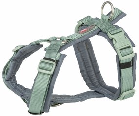 Λουρί Σκύλου Trixie Premium Trekking Πράσινο Γραφίτης XS/S