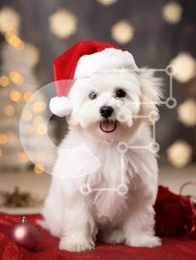 Σετ των 2 Intra Συλλεκτικό Ξύλινο Παζλ Plywood  4mm - Εορταστικό σκυλί με χριστουγεννιάτικο καπέλο Σε Ξύλινο Κουτί - Διαστάσεις: 10x10 cm – 25 κομμάτια