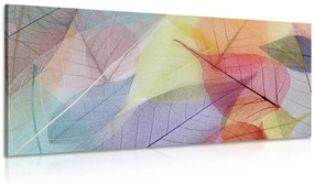Εικόνα φλεβών σε χρωματιστά φύλλα - 100x50
