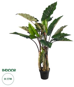 GloboStar® Artificial Garden RAINBOW TARO 20207 Τεχνητό Διακοσμητικό Φυτό Κολοκασία Υ170cm