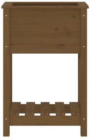 vidaXL Ζαρντινιέρα με Ράφι Μελί 54x34,5x81 εκ. από Μασίφ Ξύλο Πεύκου