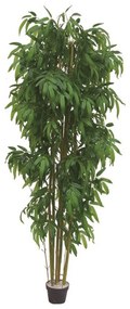 Supergreens Τεχνητό Δέντρο Μπαμπού Zulu Πράσινο 213 εκ.