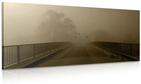 Εικόνα πτήσης πουλιών πάνω από τη γέφυρα στη σέπια - 100x50