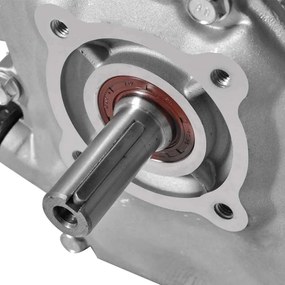 Βενζινοκινητήρας 6,5 HP 4,8 kW Μαύρος