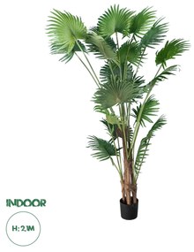 GloboStar® Artificial Garden PALM TREE 20014 Τεχνητό Διακοσμητικό Φυτό Φοινικόδεντρο Βεντάλια Υ210cm