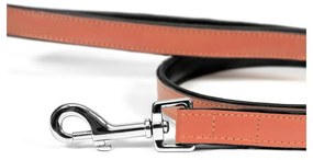 Λουρί Σκύλου Gloria 1.8 x 100 cm Κοράλι